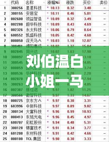 刘伯温白小姐一马一肖期期中特,全面理解执行计划_旗舰版27.385