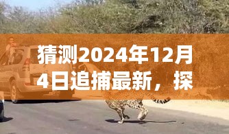 探秘巷弄深处的隐藏小店，揭秘2024年12月4日追捕最新进展与独特小店体验