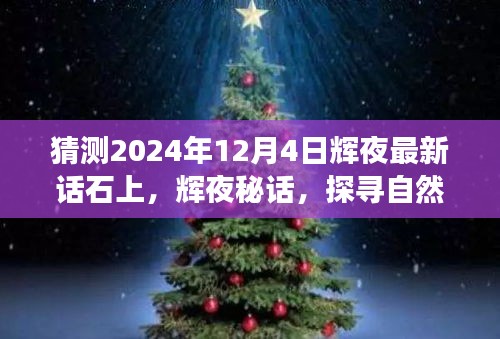 心灵探寻之旅，辉夜秘话与石上猜想之旅，探寻自然美景的宁静之旅（2024年12月4日）