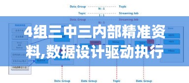 4组三中三内部精准资料,数据设计驱动执行_mShop69.793