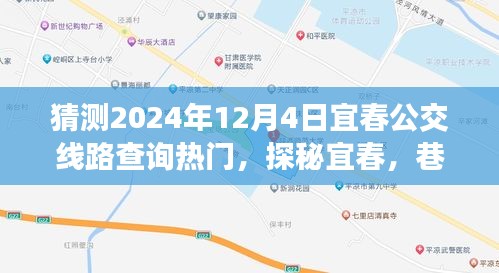 探秘宜春公交奇遇与小店惊喜，宜春公交线路查询热门预测（2024年12月4日）