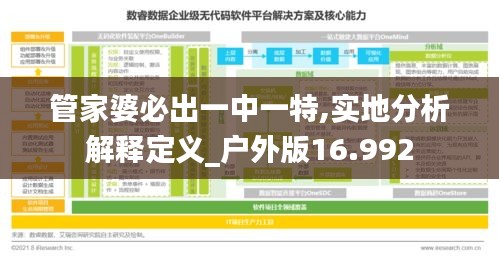 管家婆必出一中一特,实地分析解释定义_户外版16.992