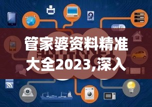 管家婆资料精准大全2023,深入数据解释定义_8K3.752