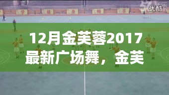 12月金芙蓉2017最新广场舞，舞动风采与深度探讨