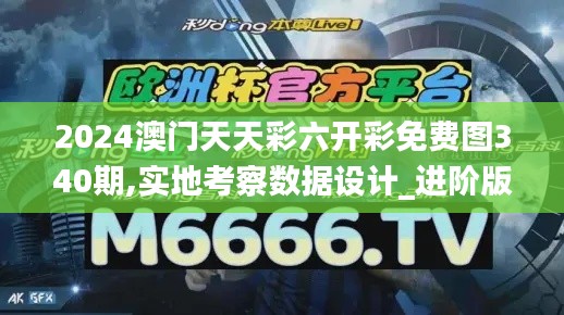 2024澳门天天彩六开彩免费图340期,实地考察数据设计_进阶版2.127