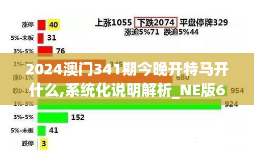 2024澳门341期今晚开特马开什么,系统化说明解析_NE版6.761