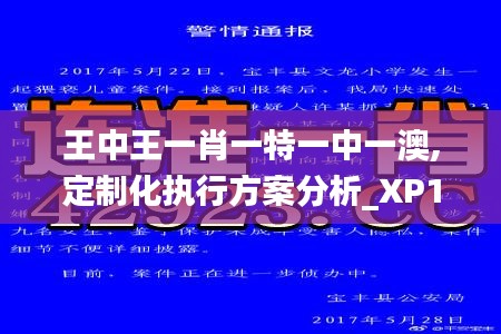 王中王一肖一特一中一澳,定制化执行方案分析_XP18.192