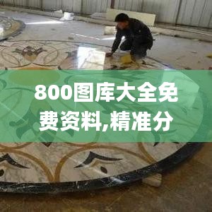 800图库大全免费资料,精准分析实施步骤_经典款1.810