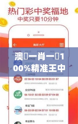 澳門一肖一碼100%精准王中王,高速响应解决方案_特供版7.119