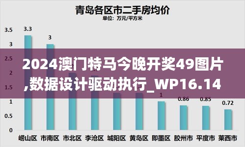 2024澳门特马今晚开奖49图片,数据设计驱动执行_WP16.143