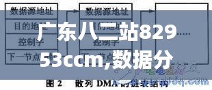 广东八二站82953ccm,数据分析驱动设计_精装款3.346