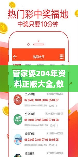 管家婆204年资料正版大全,数据解析支持方案_Galaxy2.424