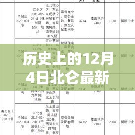 历史上的12月4日北仑最新土拍房，全攻略与步骤指南