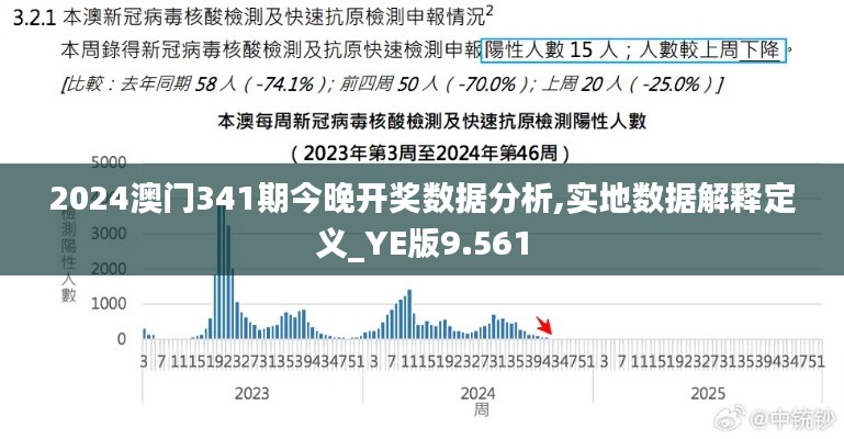 2024澳门341期今晚开奖数据分析,实地数据解释定义_YE版9.561