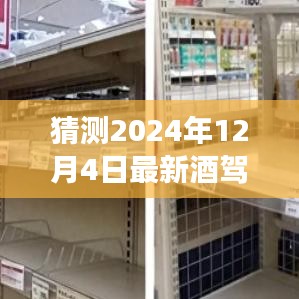 2024年酒驾撞人案探寻之旅，逃离喧嚣，揭示案件真相