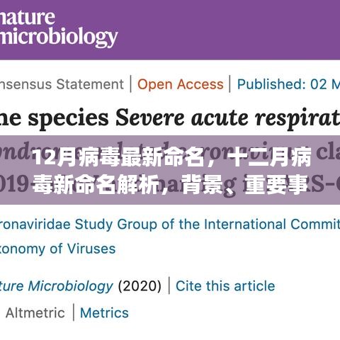 十二月病毒最新命名解析，背景、事件、影响与时代地位全解读