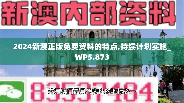 2024新澳正版免费资料的特点,持续计划实施_WP5.873