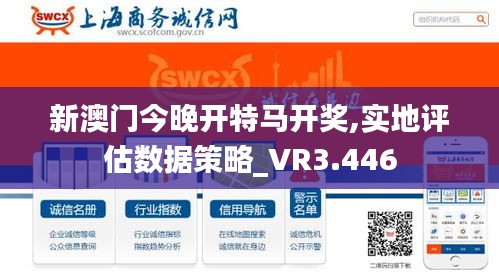 新澳门今晚开特马开奖,实地评估数据策略_VR3.446