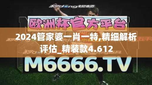 2024管家婆一肖一特,精细解析评估_精装款4.612