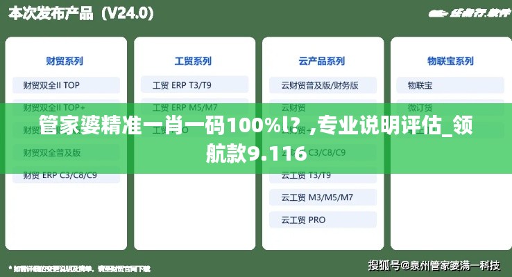 管家婆精准一肖一码100%l？,专业说明评估_领航款9.116