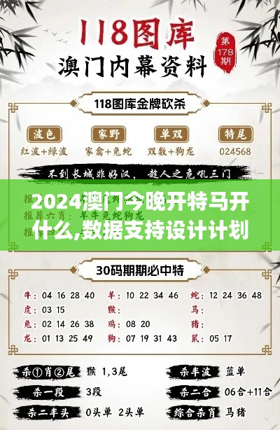 2024澳门今晚开特马开什么,数据支持设计计划_顶级款6.540