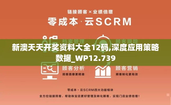 新澳天天开奖资料大全12码,深度应用策略数据_WP12.739