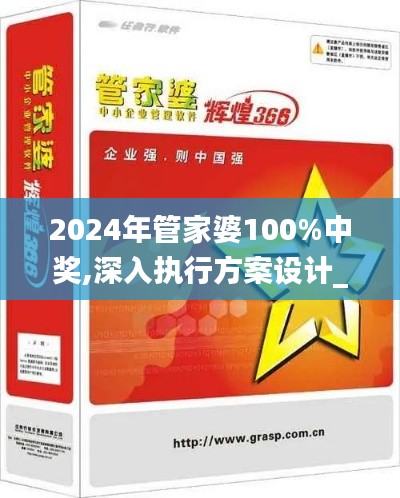 2024年管家婆100%中奖,深入执行方案设计_4DM11.904