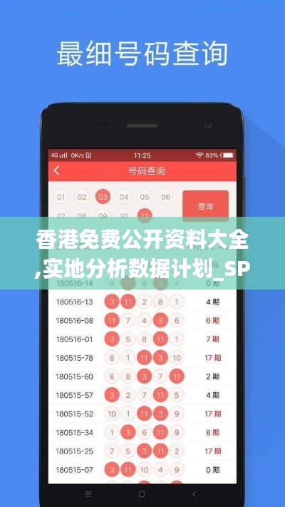 香港免费公开资料大全,实地分析数据计划_SP8.933