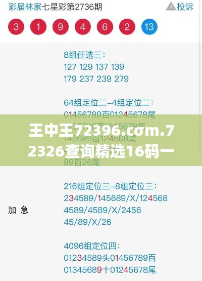 王中王72396.cσm.72326查询精选16码一,可靠操作策略方案_KP3.889