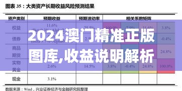 2024澳门精准正版图库,收益说明解析_尊享版8.505