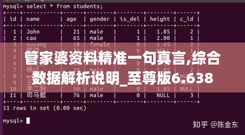 管家婆资料精准一句真言,综合数据解析说明_至尊版6.638