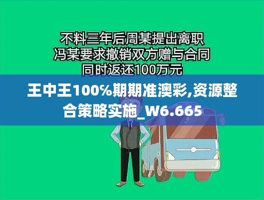 王中王100℅期期准澳彩,资源整合策略实施_W6.665