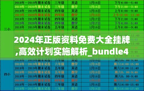 2024年正版资料免费大全挂牌,高效计划实施解析_bundle4.263