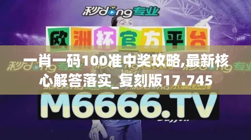 一肖一码100准中奖攻略,最新核心解答落实_复刻版17.745