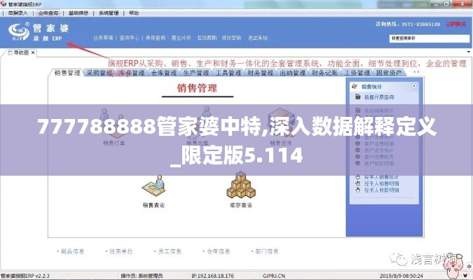 777788888管家婆中特,深入数据解释定义_限定版5.114