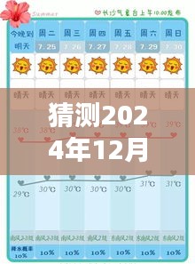 关于2024年12月6日小兵开挂现象的深度探讨，预测、争议与影响分析