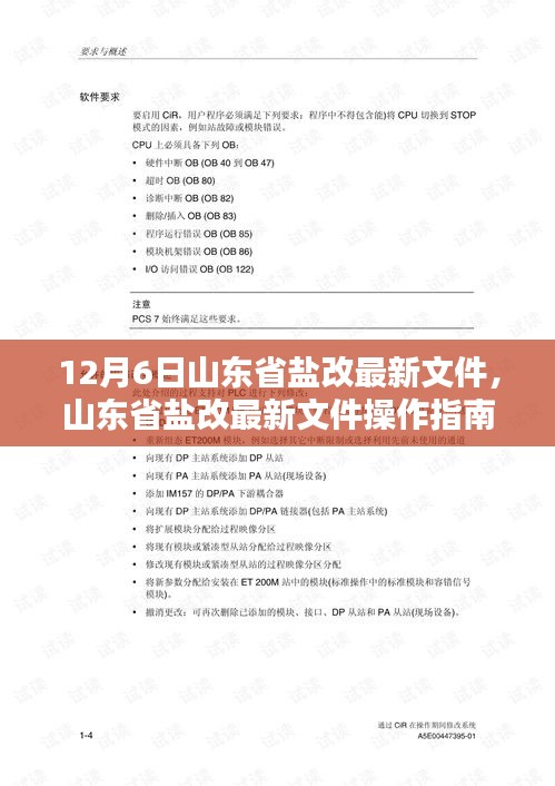 山东省盐改最新文件操作指南（12月6日版详解）