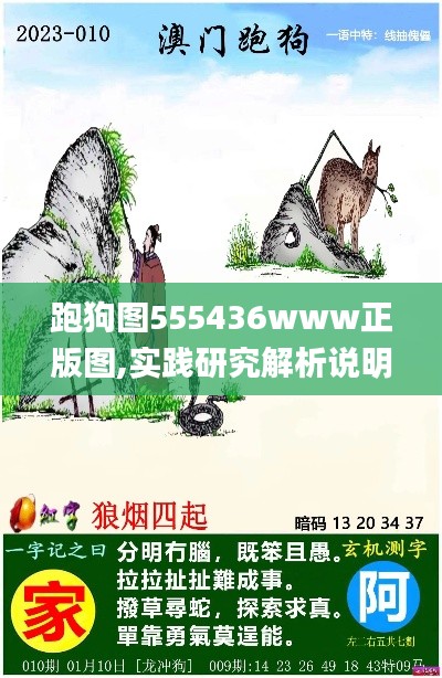 跑狗图555436www正版图,实践研究解析说明_Galaxy5.571