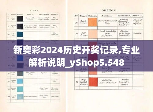 新奥彩2024历史开奖记录,专业解析说明_yShop5.548