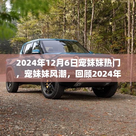 宠妹妹风潮席卷而来，回顾2024年12月6日现象级时刻