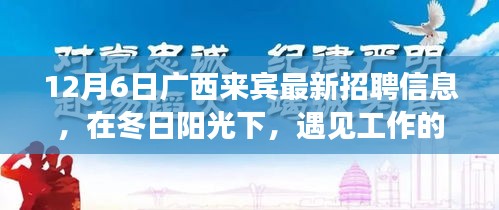 广西来宾求职奇遇记，冬日阳光下的工作温暖与友情甜香