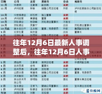 往年12月6日人事调整概览与影响深度分析