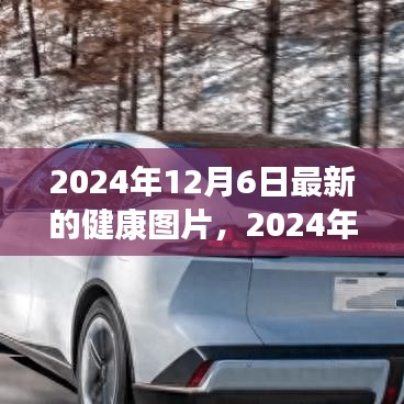 2024年最新健康图片概览，特性、体验、竞品对比及用户群体深度分析