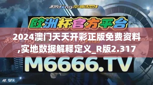 2024澳门天天开彩正版免费资料,实地数据解释定义_R版2.317