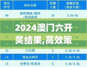 2024澳门六开奖结果,高效策略设计_探索版6.661