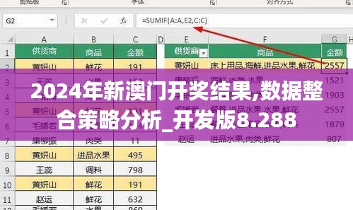 2024年新澳门开奖结果,数据整合策略分析_开发版8.288