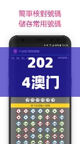 2024澳门天天开好彩大全香港,标准程序评估_XR2.709