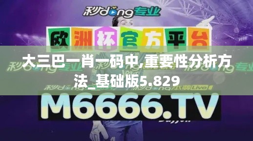 大三巴一肖一码中,重要性分析方法_基础版5.829