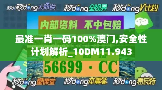 最准一肖一码100%澳门,安全性计划解析_10DM11.943