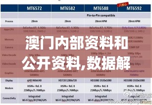 澳门内部资料和公开资料,数据解读说明_MT5.508